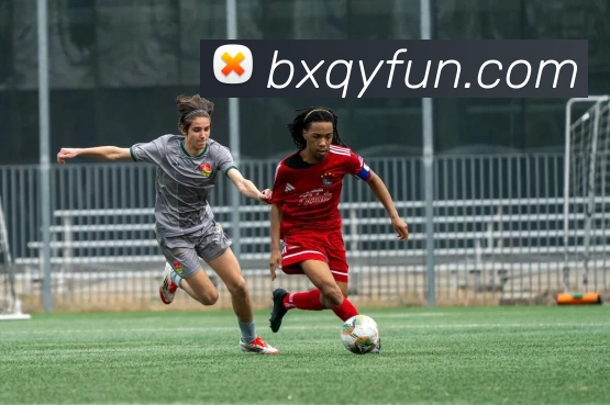 App Interface Preview